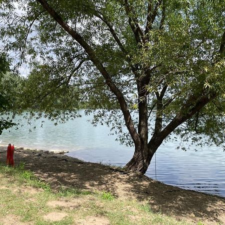 Camping Oaza Bela Crkva  Bagian luar foto