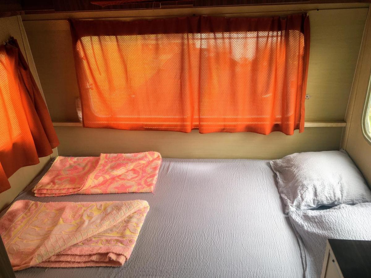 Camping Oaza Bela Crkva  Bagian luar foto