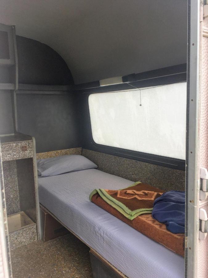 Camping Oaza Bela Crkva  Bagian luar foto