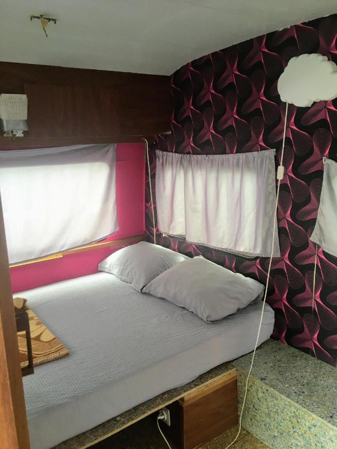 Camping Oaza Bela Crkva  Bagian luar foto