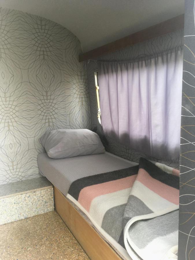 Camping Oaza Bela Crkva  Bagian luar foto
