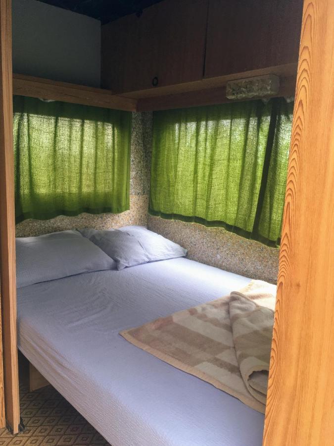 Camping Oaza Bela Crkva  Bagian luar foto
