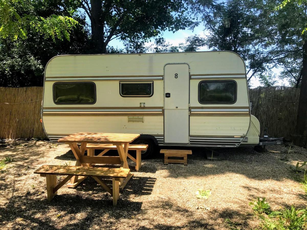 Camping Oaza Bela Crkva  Bagian luar foto