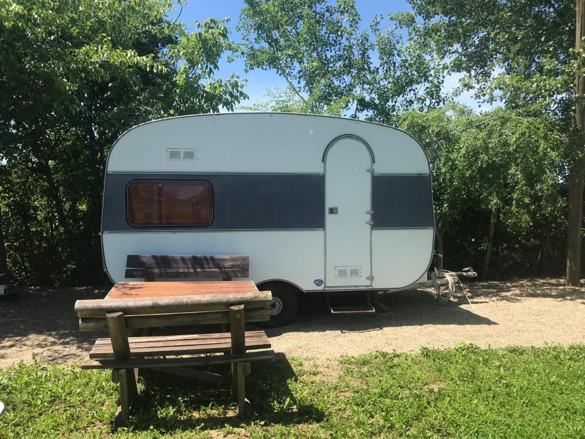 Camping Oaza Bela Crkva  Bagian luar foto
