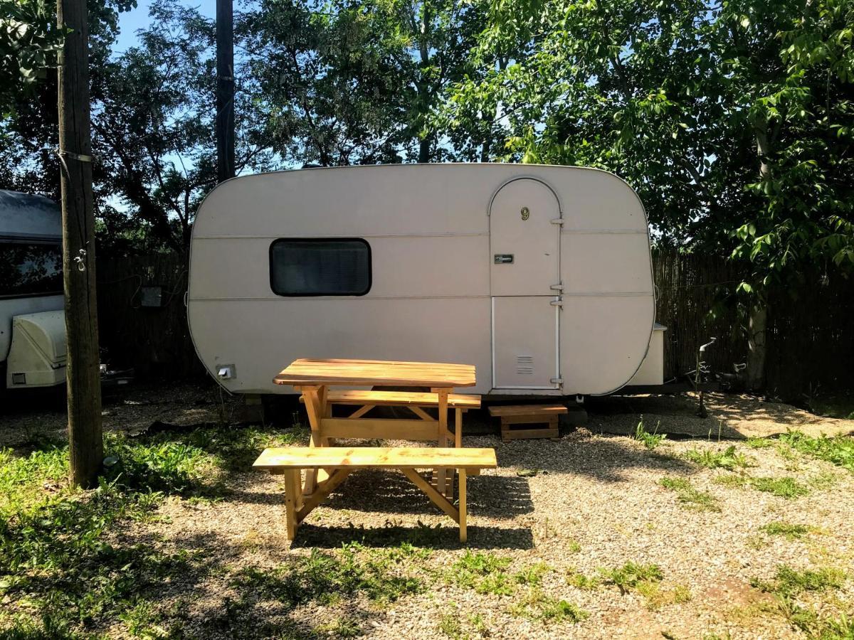 Camping Oaza Bela Crkva  Bagian luar foto