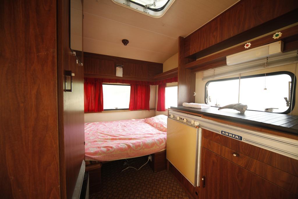 Camping Oaza Bela Crkva  Bagian luar foto