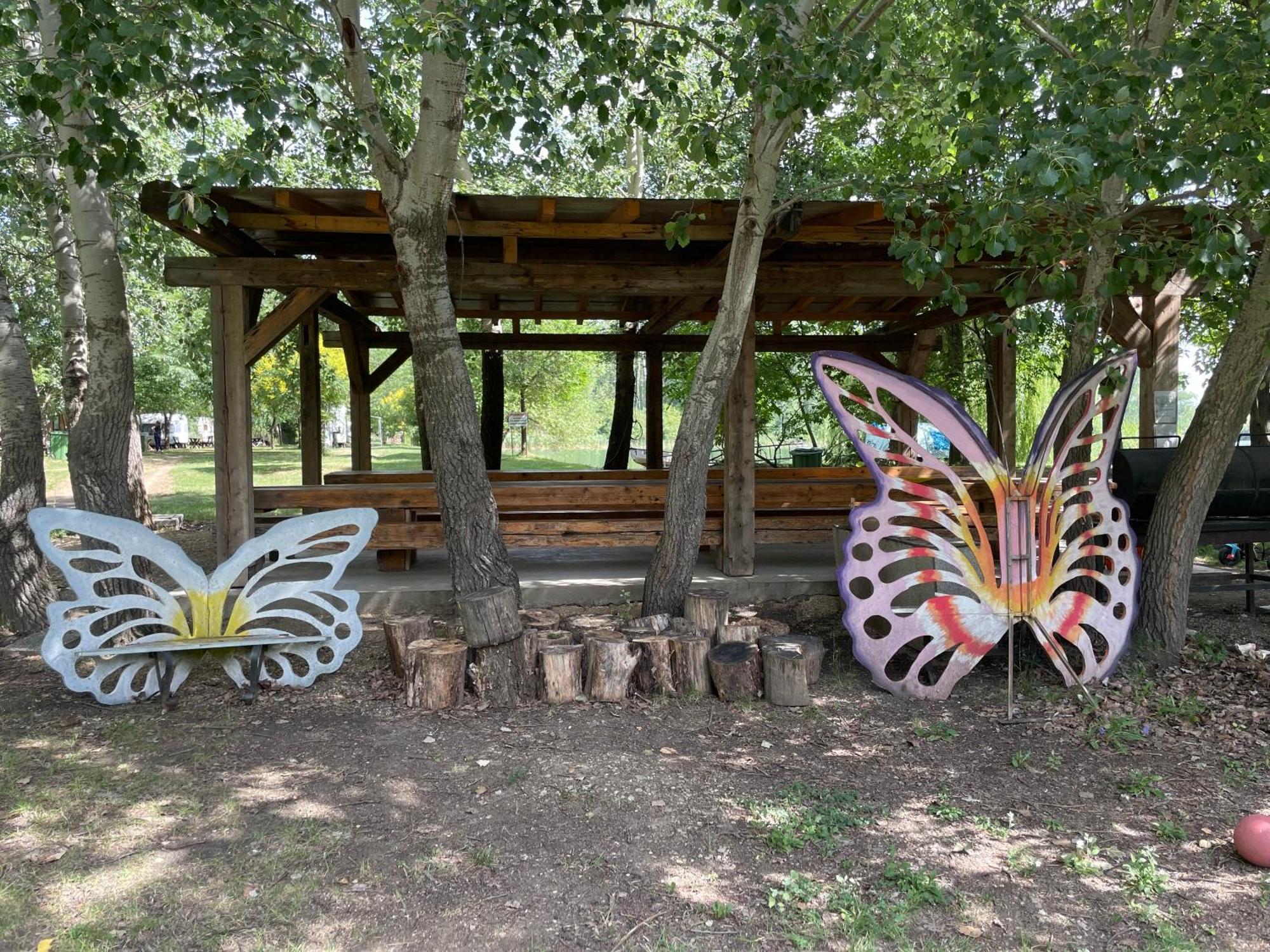 Camping Oaza Bela Crkva  Bagian luar foto