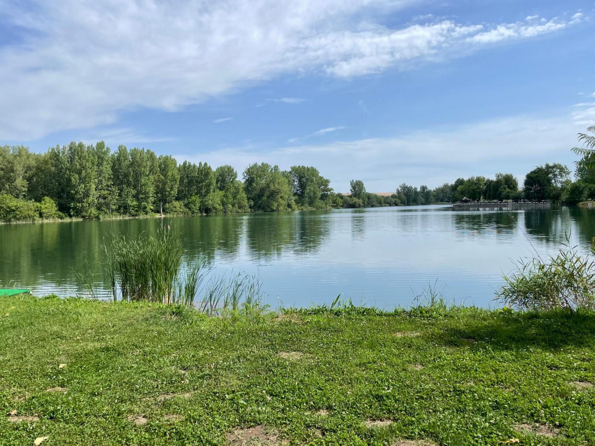 Camping Oaza Bela Crkva  Bagian luar foto