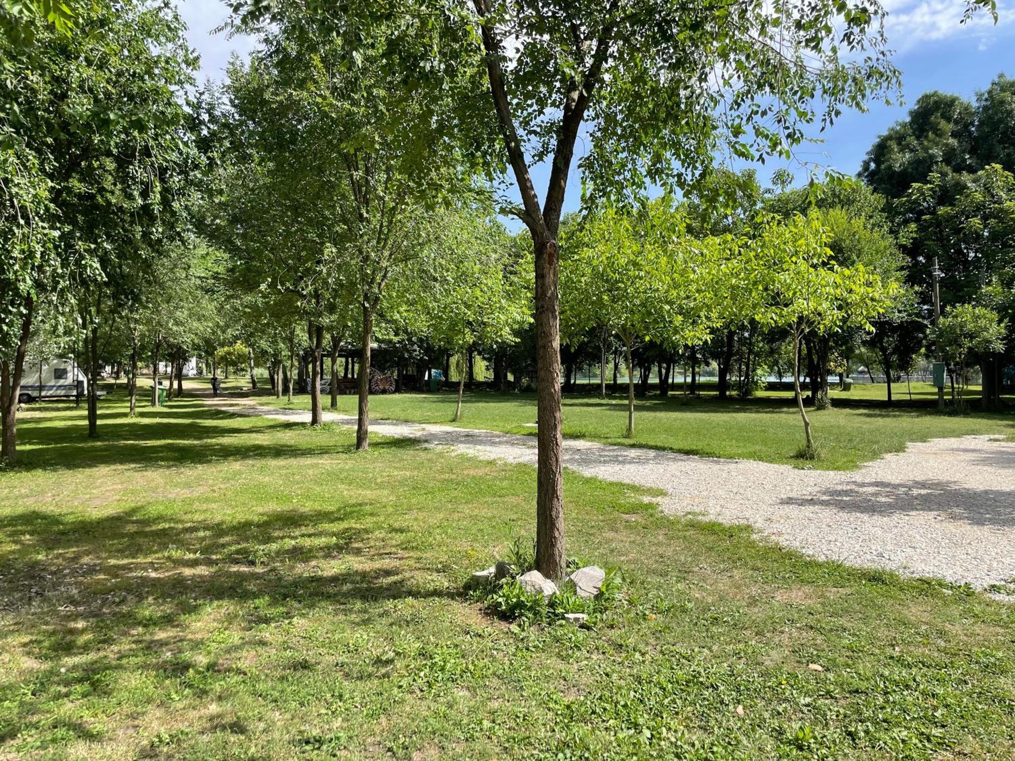 Camping Oaza Bela Crkva  Bagian luar foto