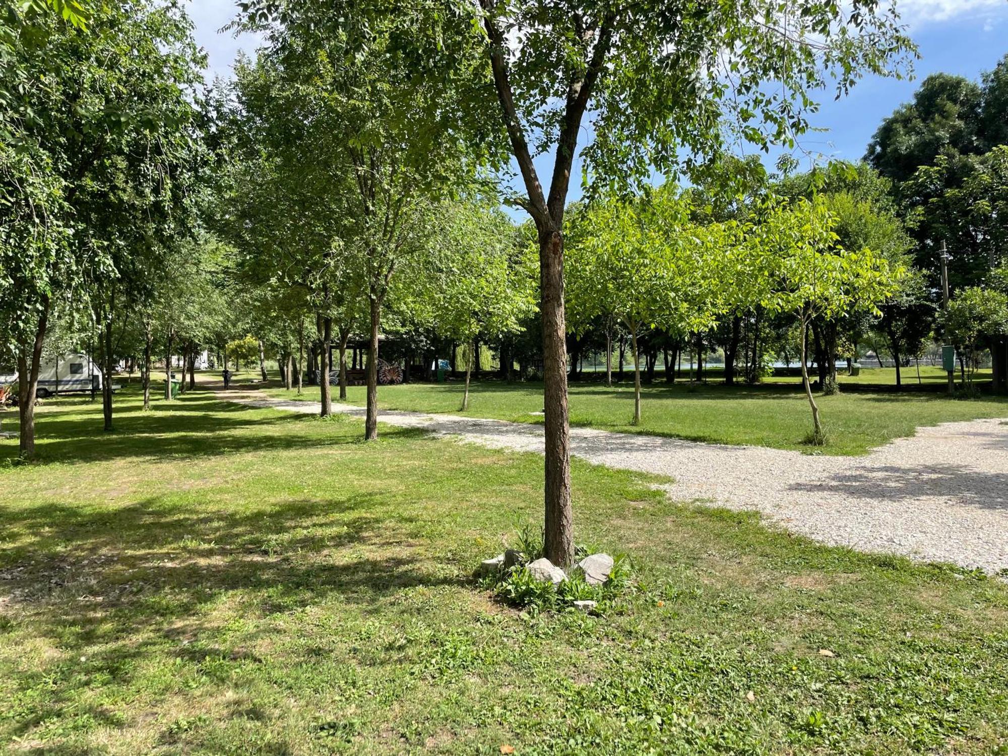 Camping Oaza Bela Crkva  Bagian luar foto