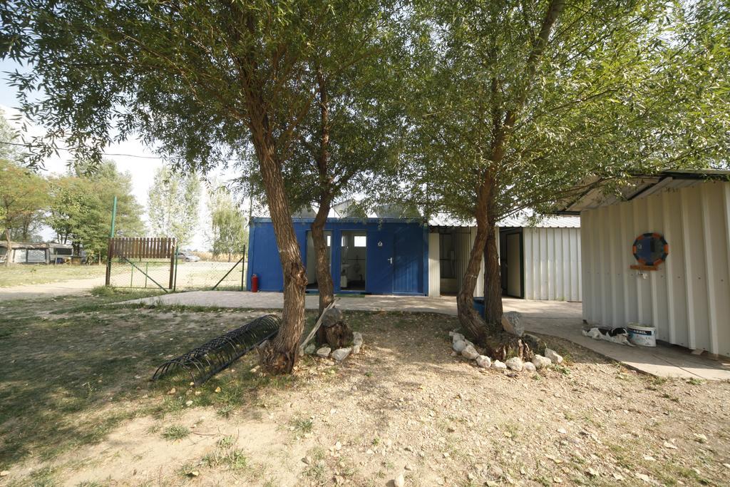 Camping Oaza Bela Crkva  Bagian luar foto