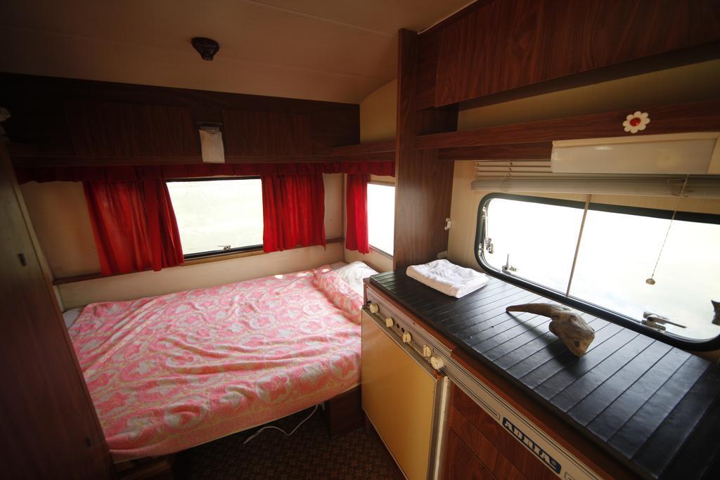 Camping Oaza Bela Crkva  Bagian luar foto