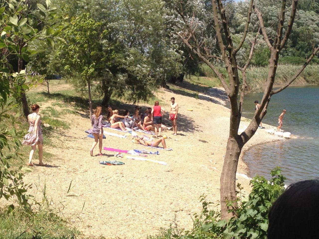 Camping Oaza Bela Crkva  Bagian luar foto